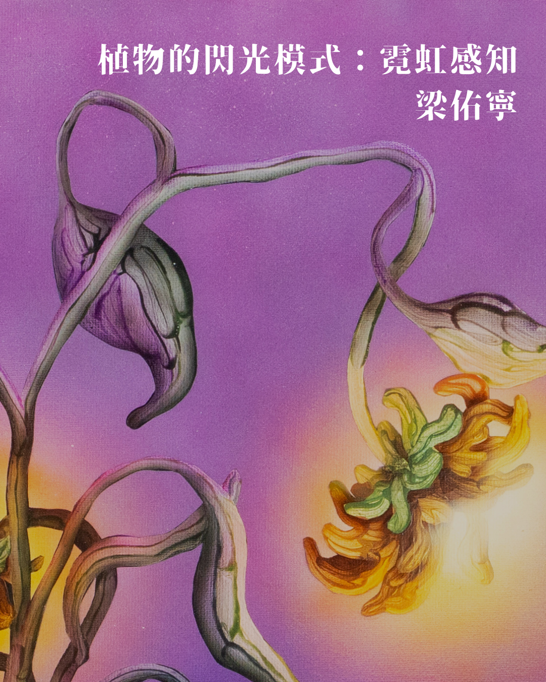 植物的閃光模式 : 霓虹感知 ——梁佑寧