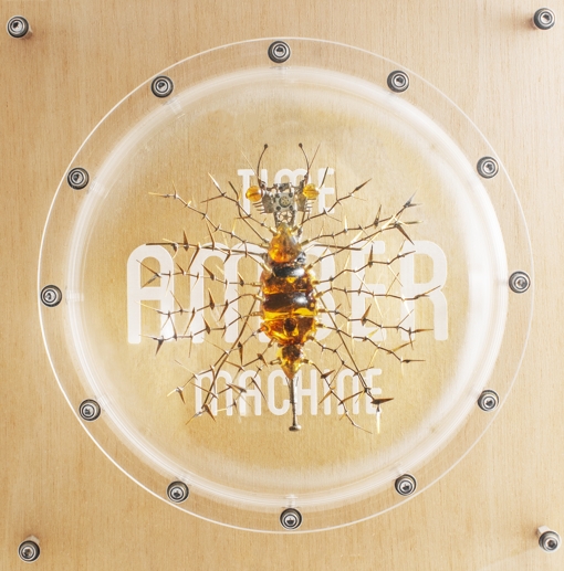 拾荒蚜獅Aphid Lion