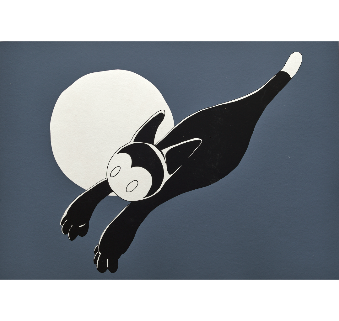 Night Fly With Socks