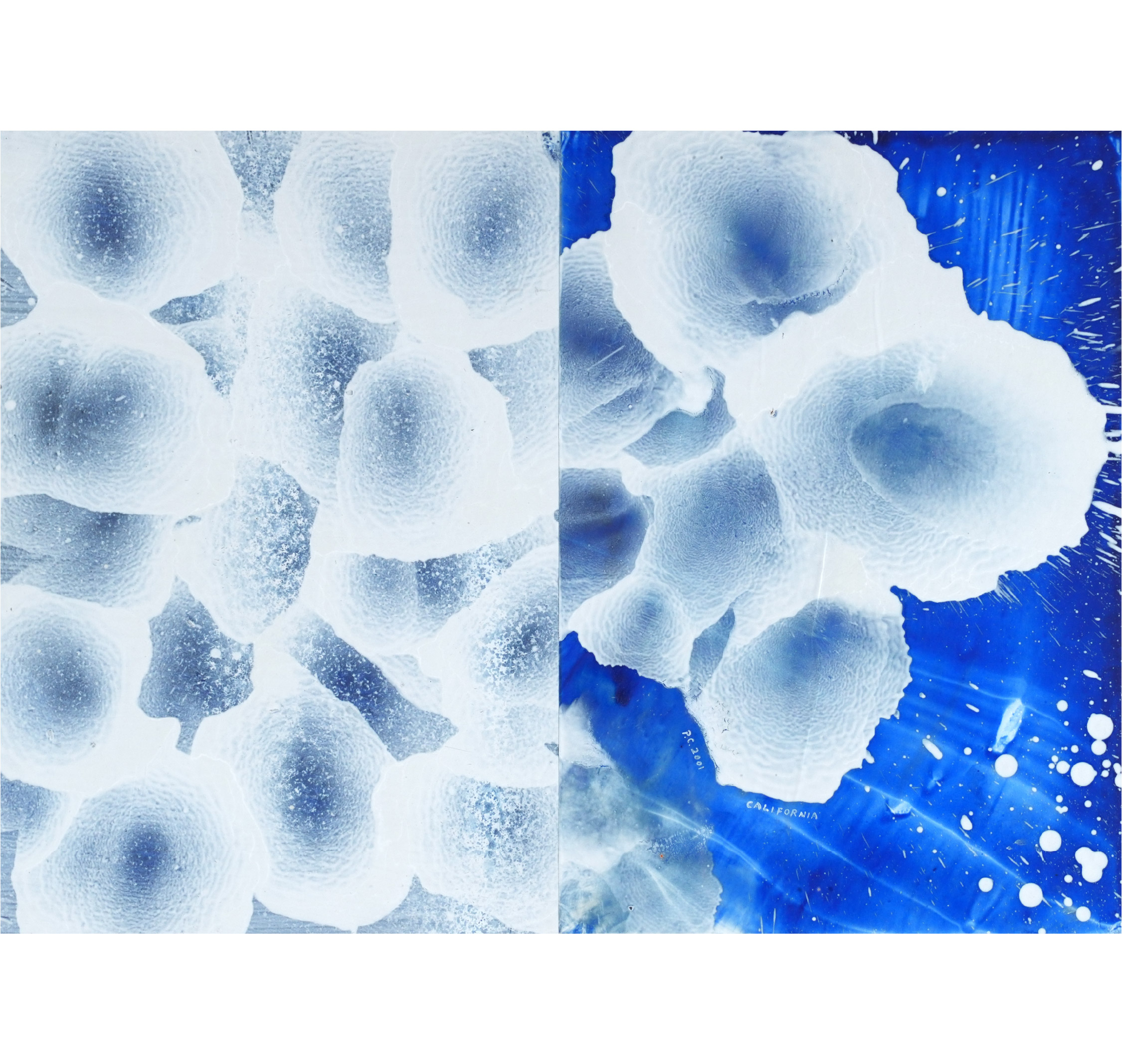 加利福尼亞 01-07 California 01-07