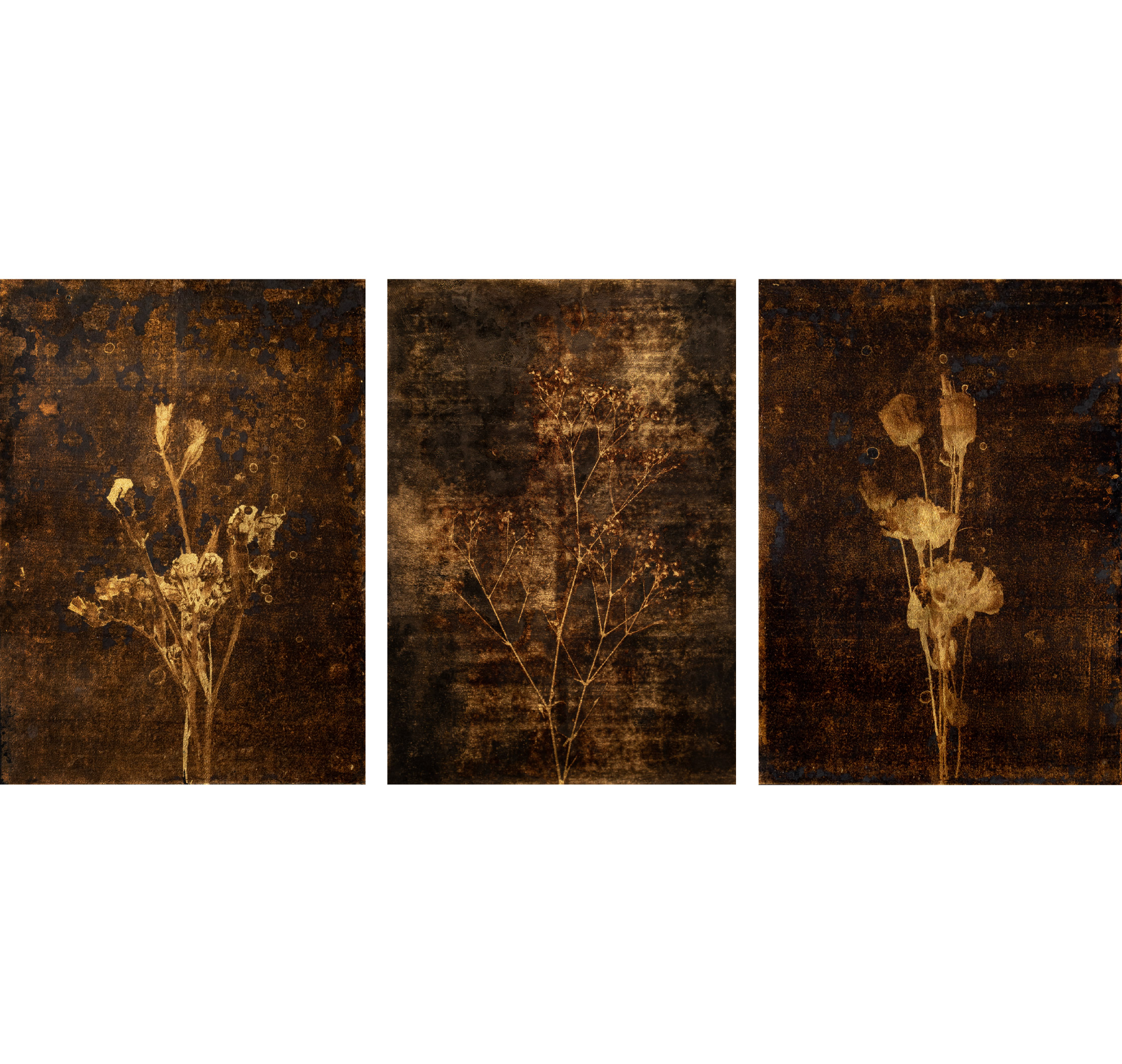 月蝕系列(一組三件) Lunar eclipse(Set of 3)