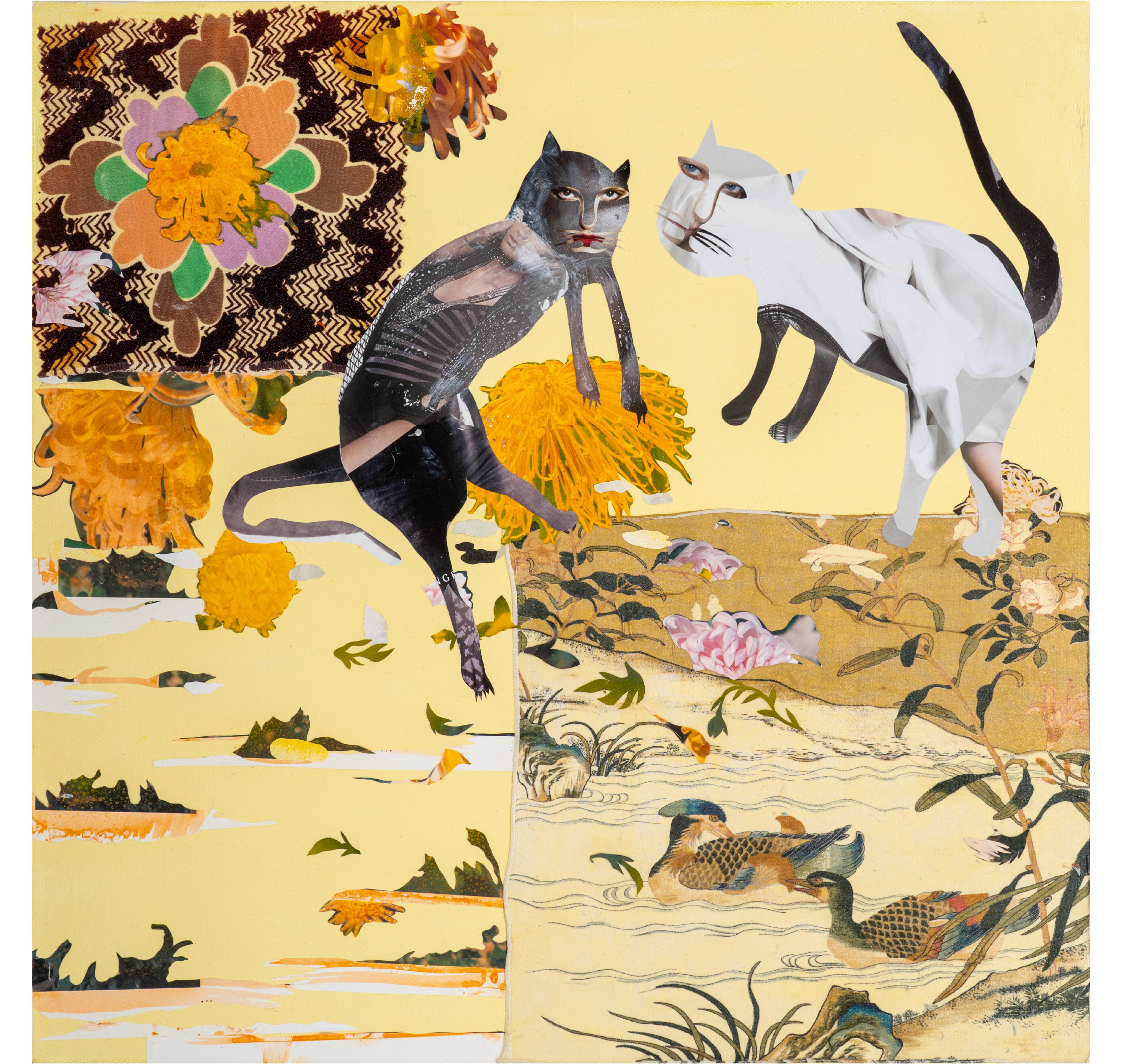 貓戲水 Cat Playing in Water