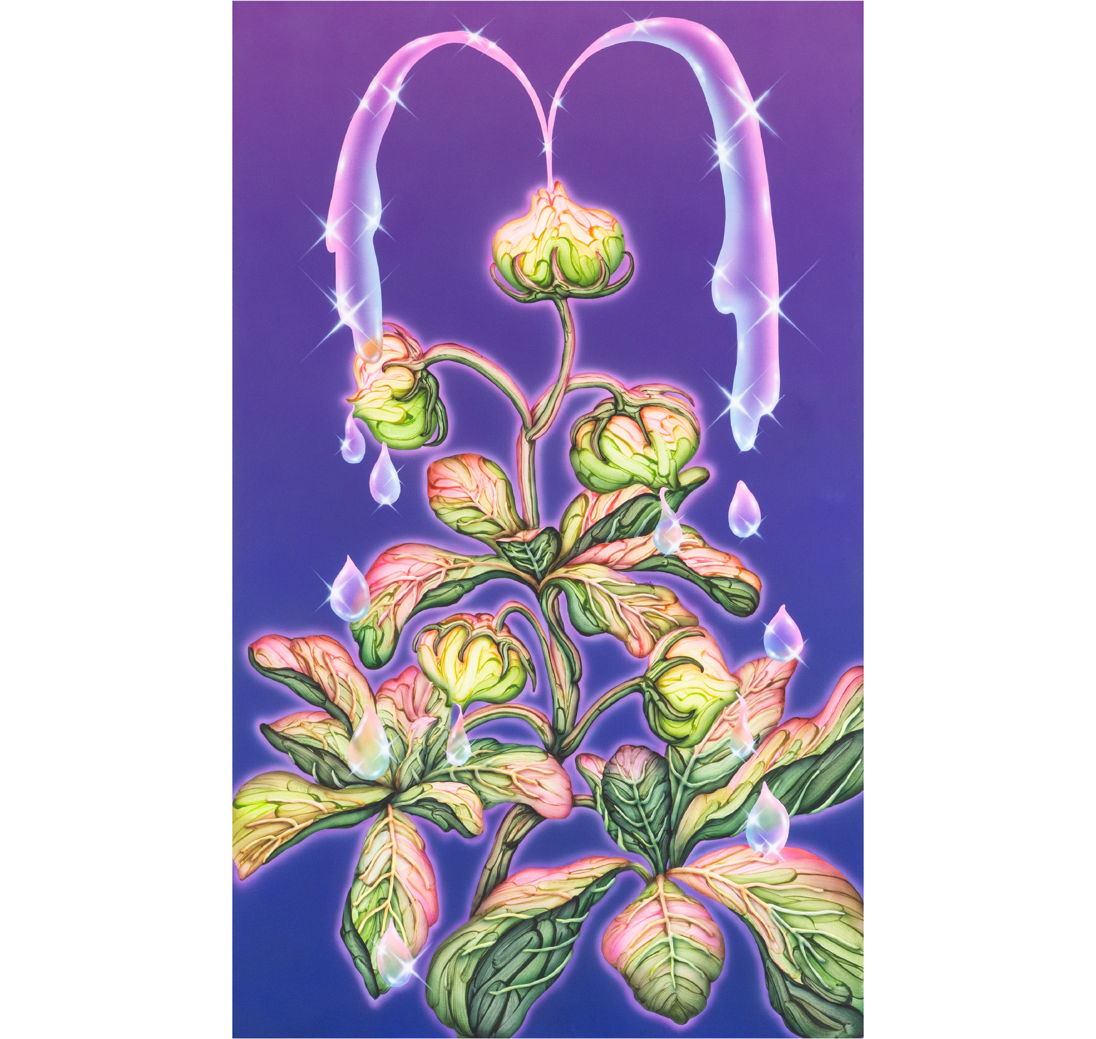 愛哭苞  Crying Bud