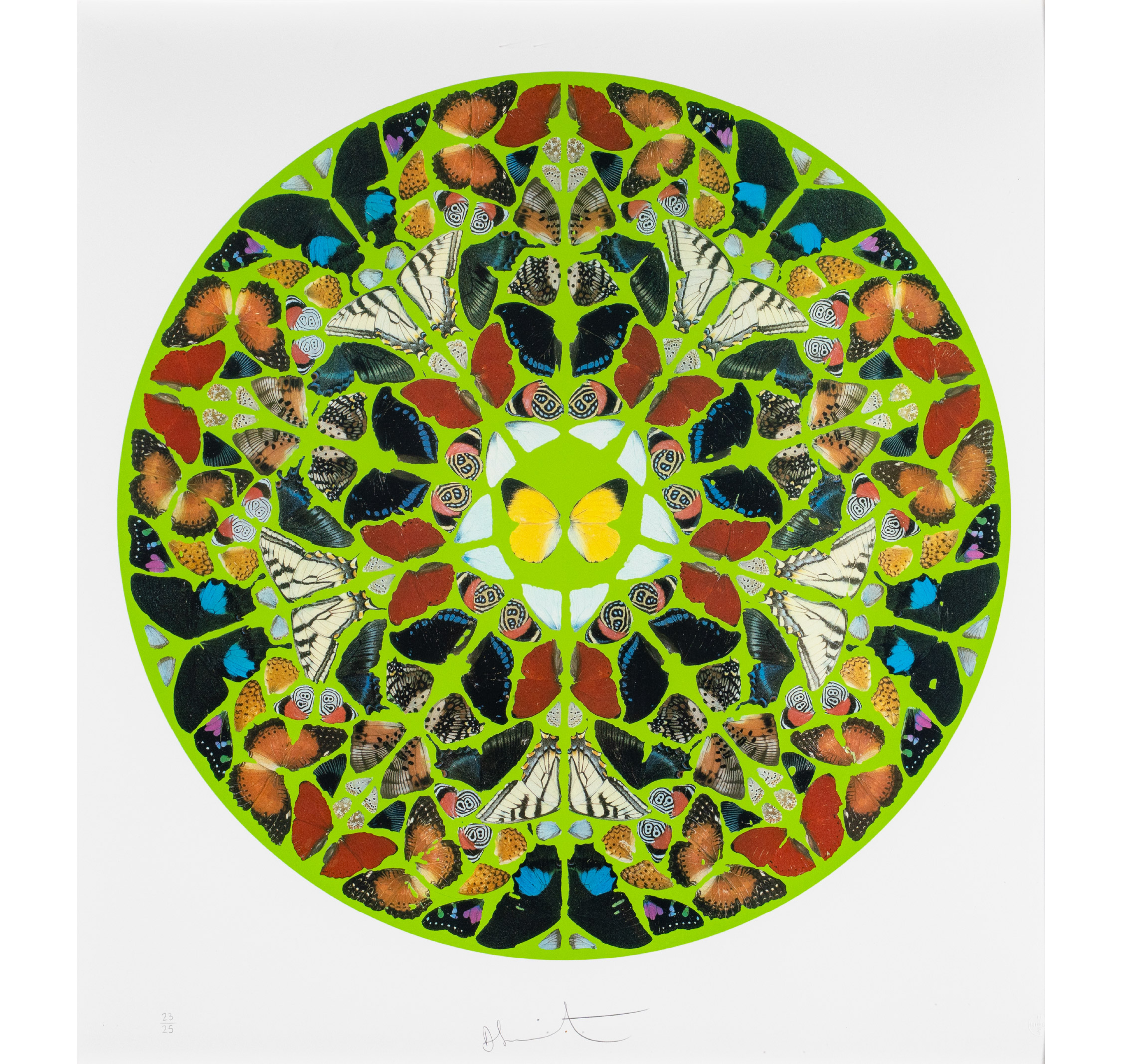 詩篇：地和其中所充滿的，都屬乎主。	Psalm: Domini Est Terra