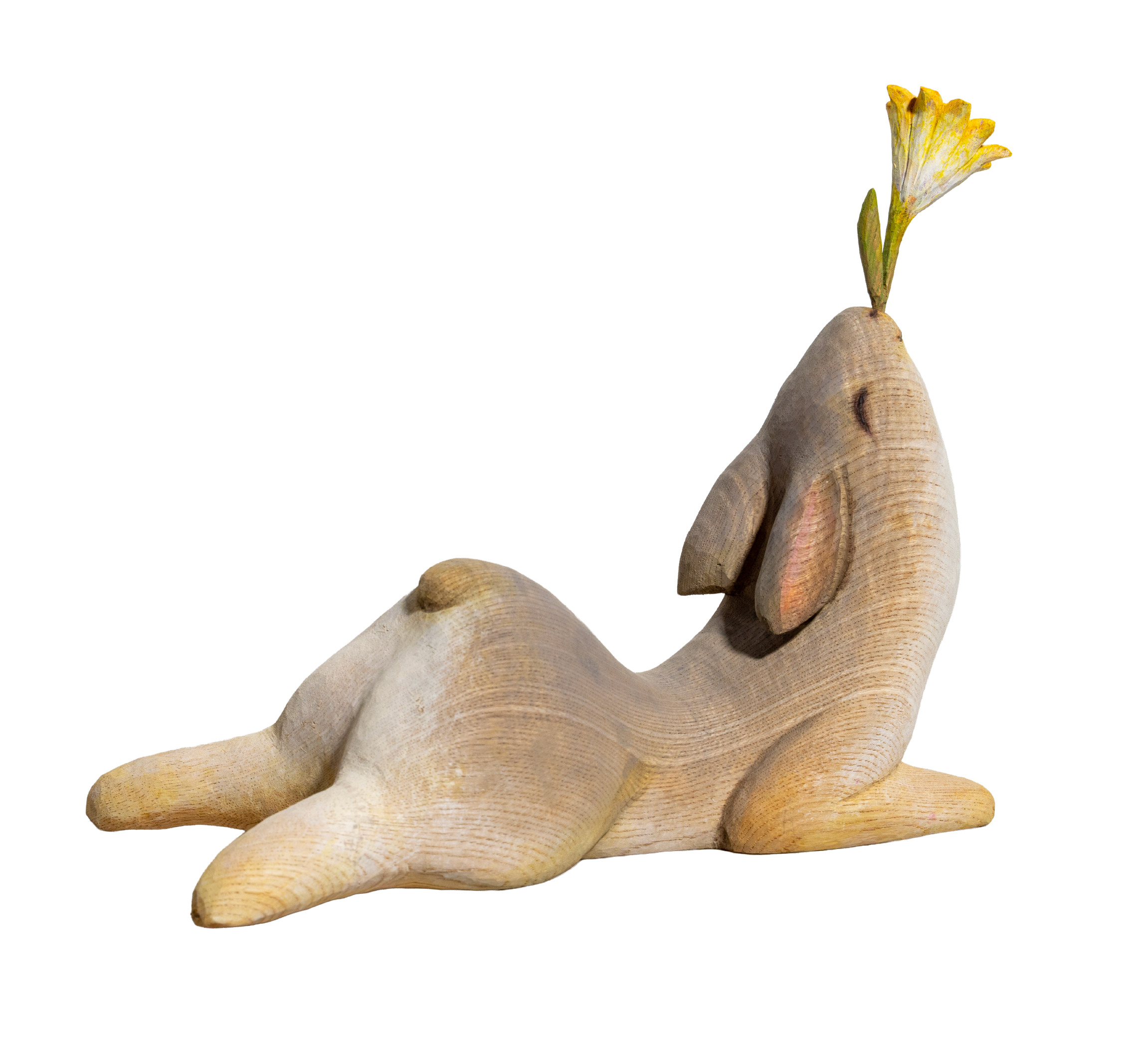 好漂亮啊！ It's Beautiful!